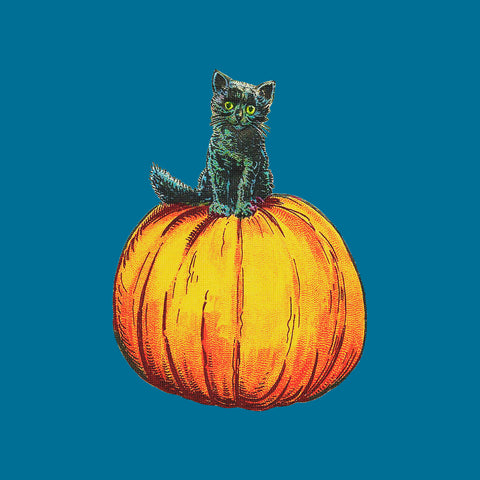 Halloween Vintage Black Cat Pumpkin Counted Cross Stitch Pattern