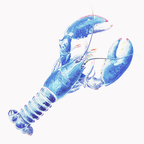 Beach Orenco Originals Beach Sealife Nautical Blue Lobster Counted Cross Stitch Pattern
