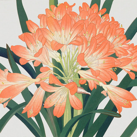 Tanigami Konan Asian Clivia Lily Flowers DETAIL Counted Cross Stitch Pattern