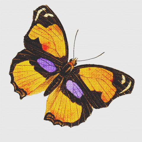 Orange, Purple and Black Butterfly in Flight Counted Cross Stitch Pattern DIGITAL DOWNLOAD