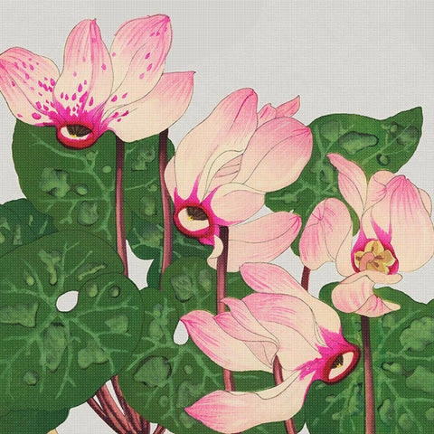 Tanigami Konan Asian Cyclamen Flowers DETAIL Counted Cross Stitch Pattern
