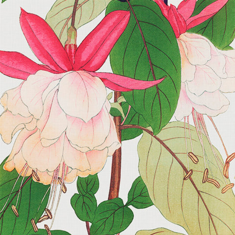 Tanigami Konan Asian Fuchsia Flowers DETAIL Counted Cross Stitch Pattern