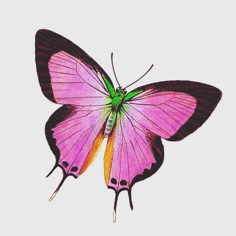 Mauve, Lavender and Black Butterfly in Flight Counted Cross Stitch Pattern
