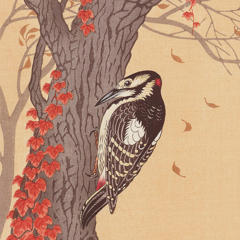 Japanese Artist Ohara (Koson) Shoson's Spotted Woodpecker Detail Counted Cross Stitch Pattern