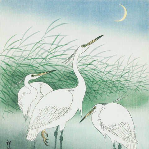 Japanese Artist Ohara (Koson) Shoson's 3 Herons Shallow Water Counted Cross Stitch Pattern