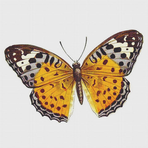 Orange, Grey and Black Butterfly in Flight Counted Cross Stitch Pattern