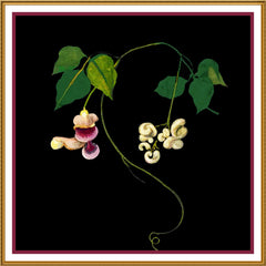 [product_title] - Orenco Originals LLC Counted Cross Stitch