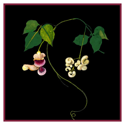 Corkscrew Vine Flower by Mary Delany Counted Cross Stitch Pattern