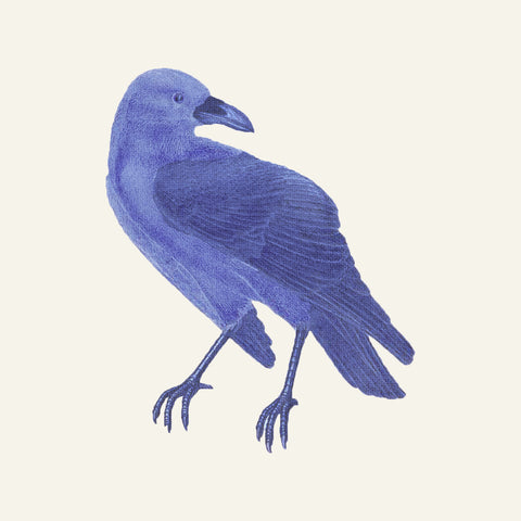 William Morris Philip Webb Blue White Raven Counted Cross Stitch Pattern