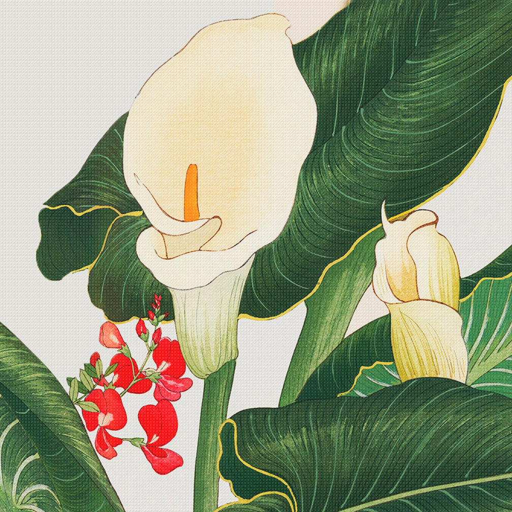 calla lily flower string painting Tanigami Konan Asian Calla Lily Flowers DETAIL Counted Cross Stitch Pa