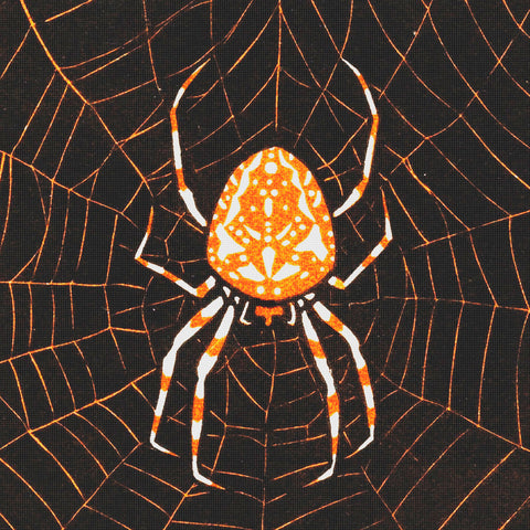 Spider in a Web by Julie de Graag Counted Cross Stitch Pattern DIGITAL DOWNLOAD