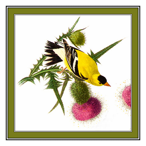 John James Audubon's Bird Illustration of The American Goldfinch Counted Cross Stitch Chart