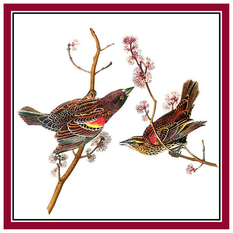 Pair of Red Breasted Blackbirds Bird Illustration by John James Audubon Counted Cross Stitch Pattern