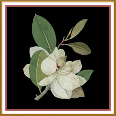 [product_title] - Orenco Originals LLC Counted Cross Stitch