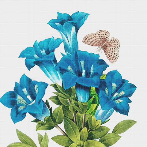Orenco Originals Redoute Blue Gentian Flower Counted Cross Stitch Pattern