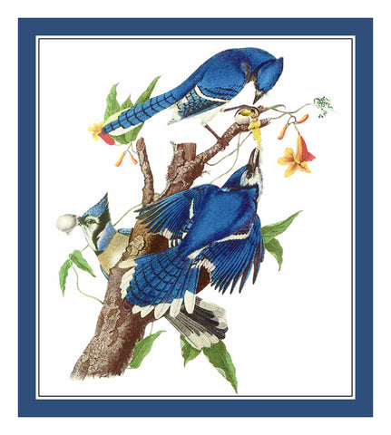 Blue Jays Bird Illustration by John James Audubon Counted Cross Stitch Pattern