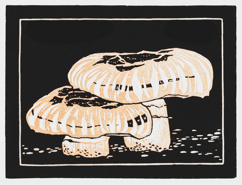 [product_title] - Orenco Originals LLC Counted Cross Stitch