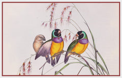 [product_title] - Orenco Originals LLC Counted Cross Stitch