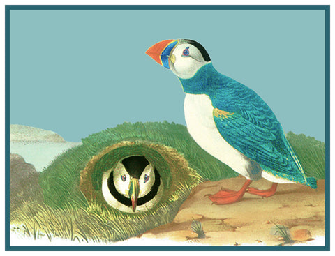 Pair of Atlantic Puffins Bird Illustration by John James Audubon Counted Cross Stitch Pattern