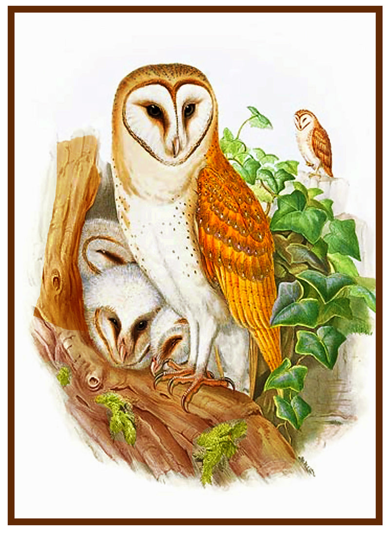 [product_title] - Orenco Originals LLC Counted Cross Stitch