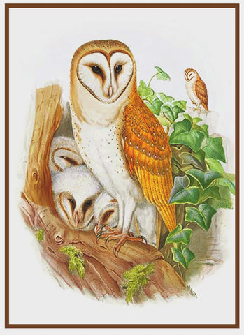 Mama Baby Owls by Naturalist John Gould of Birds Family Counted Cross Stitch Pattern