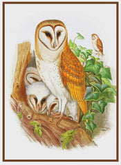 [product_title] - Orenco Originals LLC Counted Cross Stitch