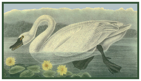 A Tundra Swan Bird Illustration by John James Audubon Counted Cross Stitch Pattern