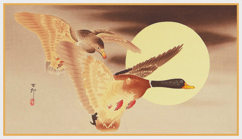 Japanese Artist Ohara (Koson) Shoson's Mallard Ducks in Flight Counted Cross Stitch Pattern