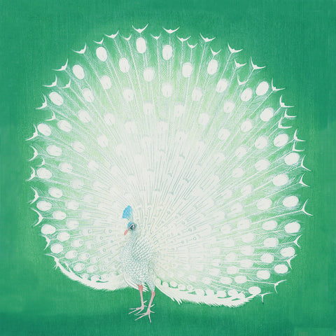 Japanese Artist Ohara (Koson) Shoson's White Peacock Detail Counted Cross Stitch Pattern