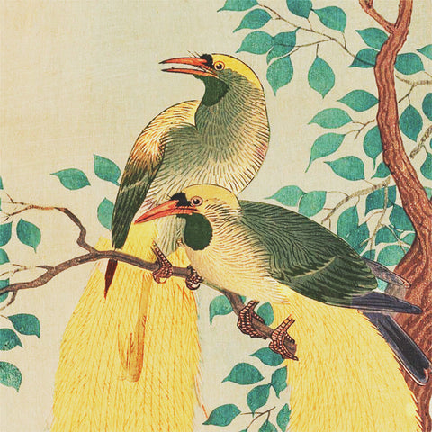 Japanese Artist Ohara (Koson) Shoson's Birds of Paradise Detail Counted Cross Stitch Pattern