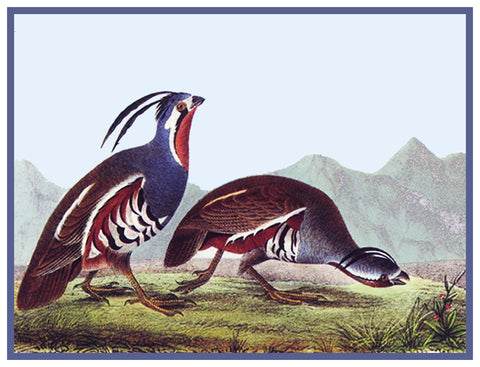 Pair of Mountain Quail Bird Illustration by John James Audubon Counted Cross Stitch Pattern