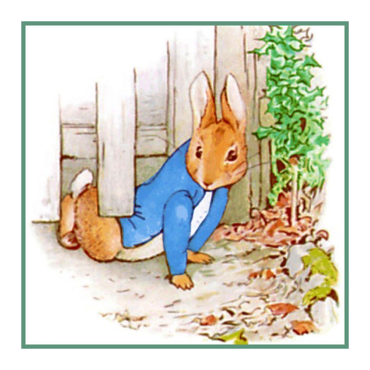 peter rabbit cartoon drawing
