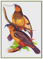 product_title] - Orenco Originals LLC Counted Cross Stitch