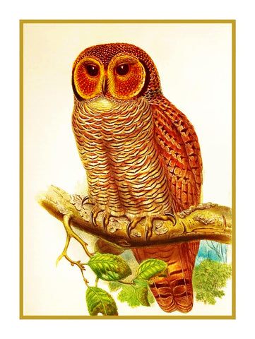 Mottled Wood Owl by Naturalist John Gould of Birds Counted Cross Stitch Pattern
