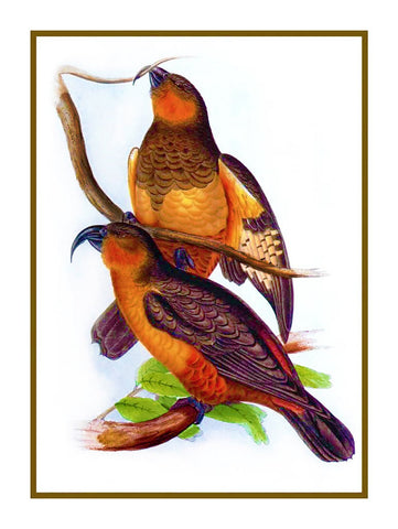 Norfolk Kaka by Naturalist John Gould of Birds Counted Cross Stitch Pattern DIGITAL DOWNLOAD