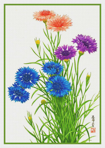 Tanigami Konan Asian Blue Cornflower Flowers Counted Cross Stitch Pattern