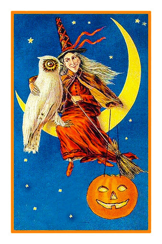 Witch on Crescent Moon with an Owl Halloween Counted Cross Stitch Pattern