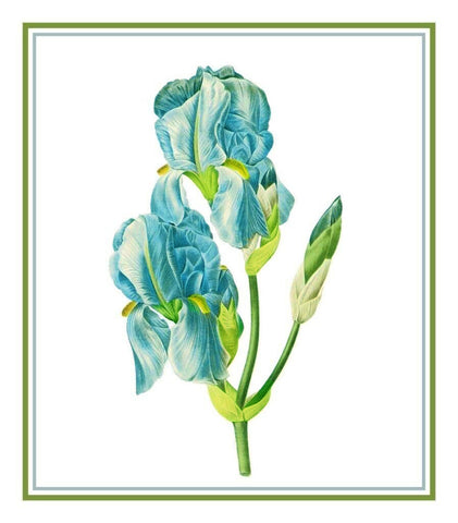 Sweet Iris Flower Bouquet Inspired by Pierre-Joseph Redoute Counted Cross Stitch Pattern