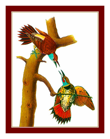 Pair of Flicker Birds Illustration by John James Audubon Counted Cross Stitch Pattern
