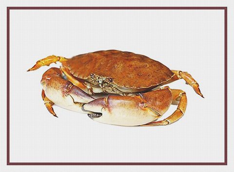 Nautical Seashore Atlantic Rock Crab Counted Cross Stitch Pattern