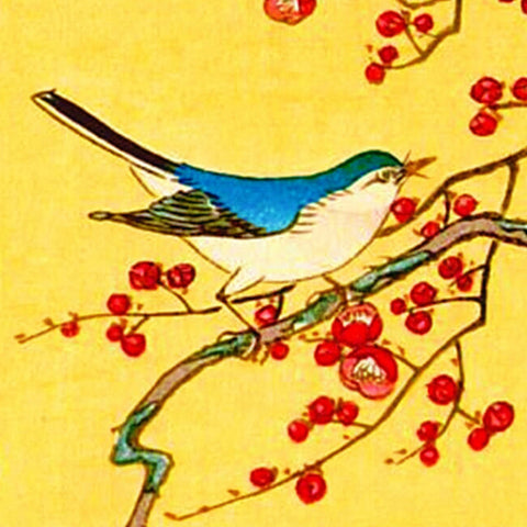 Japanese Artist Ohara (Koson) Shoson's Blue Bird Plum Tree Detail Counted Cross Stitch Pattern DIGITAL DOWNLOAD