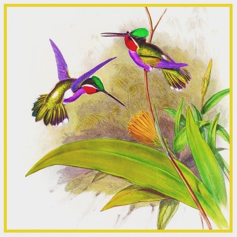 Long Billed Hummingbird Detail 2 by Naturalist John Gould Bird Counted Cross Stitch Pattern
