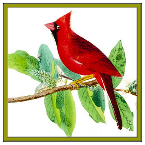 Northern Cardinal Bird Illustration by John James Audubon Counted Cross Stitch Pattern