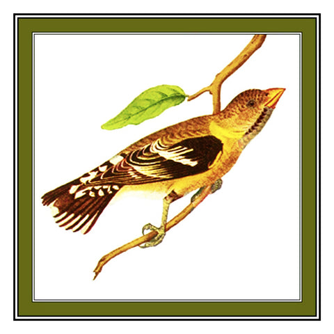 Golden Grosbeak Bird Illustration by John James Audubon Counted Cross Stitch Pattern
