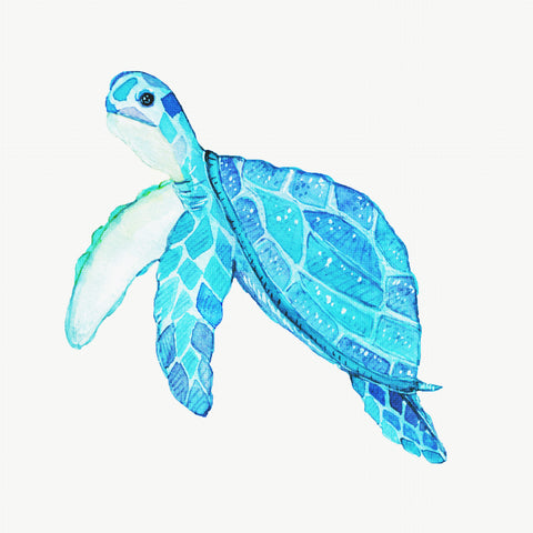 Orenco Originals Beach Sealife Nautical Sea Turtle Counted Cross Stitch Pattern