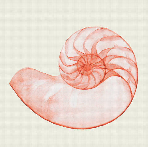 Orenco Originals Beach Sealife Nautical Pink Nautilus Shell Counted Cross Stitch Pattern