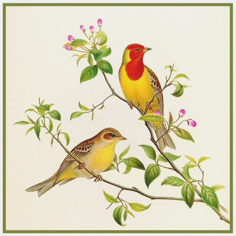 Red Headed Bunting by Naturalist John Gould Birds Counted Cross Stitch Pattern