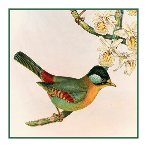 Silver Eared Mesia Detail 2 by Naturalist John Gould Birds Counted Cross Stitch Pattern