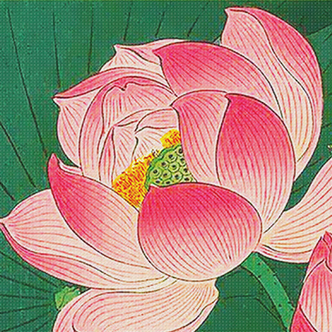 Japanese Artist Ohara (Koson) Shoson's Water Lily Flower Detail Counted Cross Stitch Pattern