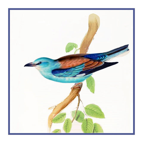 European Roller by Naturalist John Gould Bird Counted Cross Stitch Pattern